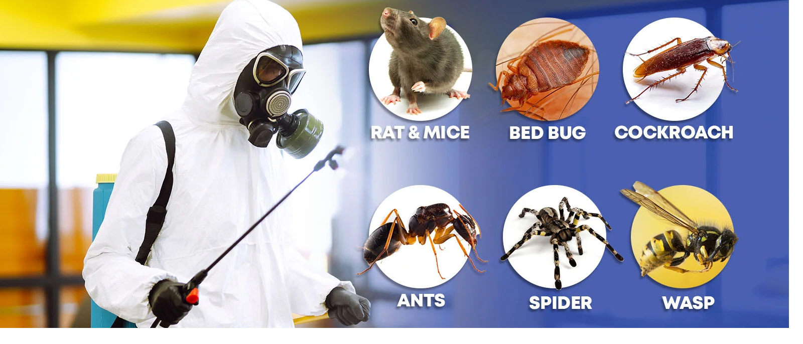 Our Services