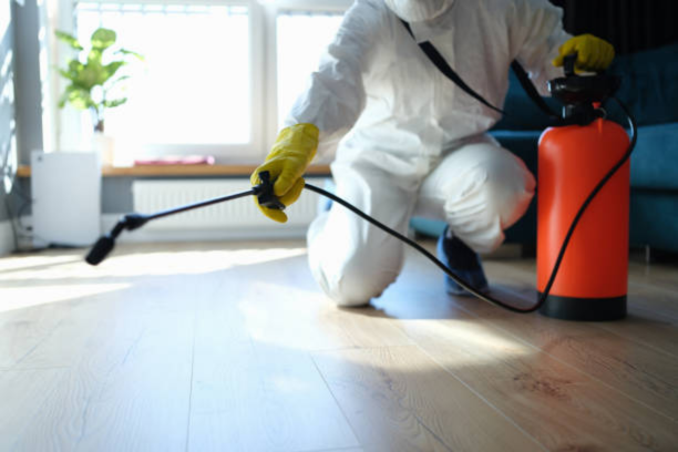 Pest control services